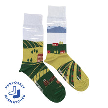 Load image into Gallery viewer, Friday Sock Co. - Men's Winery Socks