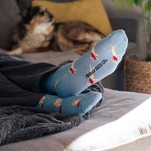 Load image into Gallery viewer, Friday Sock Co. - Men's Dog & Frisbee Socks