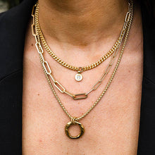 Load image into Gallery viewer, Loni Paul Jewelry - Small Modern Crystal Necklace
