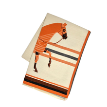Load image into Gallery viewer, Fornash - Aiken Scarf / Wrap

