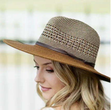 Neighbors Woven Panama Hat Brown