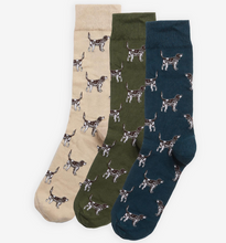 Load image into Gallery viewer, BARBOUR Dog Sock Gift Pack
