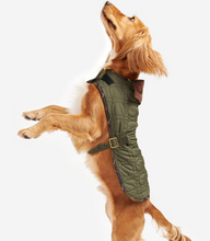 Load image into Gallery viewer, BARBOUR Dog Bone Quilted Dog Coat Dk. Olive

