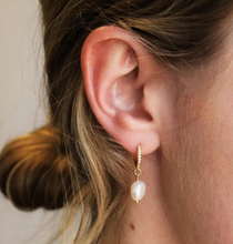 Load image into Gallery viewer, Silver Wren Isa Pearl &amp;CZ Gold Hoop Earrings
