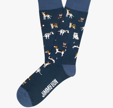 Load image into Gallery viewer, Jimmy Lion Socks
